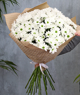 Букет из 21 белых кустовых хризантем Бакарди