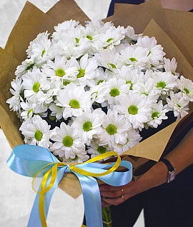  Букет из 7 белых кустовых хризантемы Бакарди в упаковке