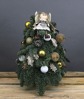 Композиция ELKA light